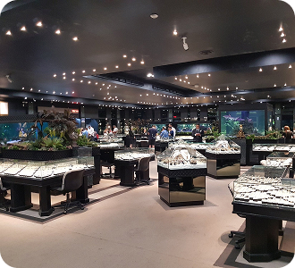 Spectacular jewelry shopping at Gems Gallery Thailand
